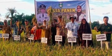 Harga Beras Naik, Pemkot Parepare Fokus Tingkatkan Produktivitas Padi