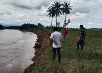 Foto Terbaru Abrasi Telah Memakan Lahan Warga (Rabu 29/5/2024)