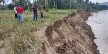 Foto Terbaru Abrasi Telah Memakan Lahan Warga (Rabu 29/5/2024)