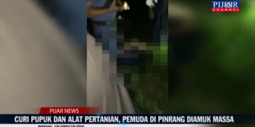 Curi Pupuk dan Alat Pertanian, Pemuda di Pinrang Diamuk Massa