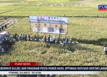 Pj Gubernur Sulsel dan Pangdam Pesta Panen Hasil Optimasi Ratusan Hektar Lahan Rawa di Pinrang