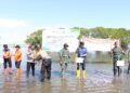 Badan Penanggulangan Bencana Daerah (BPBD) Pinrang, menginisiasi pencanangan program mitigasi vegetasi dengan penanaman pohon mangrove di 3 wilayah pesisir Kabupaten Pinrang