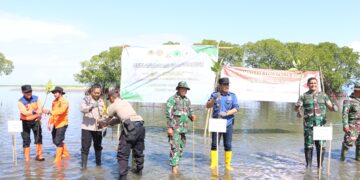 Badan Penanggulangan Bencana Daerah (BPBD) Pinrang, menginisiasi pencanangan program mitigasi vegetasi dengan penanaman pohon mangrove di 3 wilayah pesisir Kabupaten Pinrang