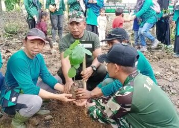 Peringati HMPI dan Bulan Menanam Nasional, KPH Bila Sidrap-Parepare Tanam Pohon di Watang Bacukiki, Kamis (12/12/2024). --Foto: Faizal Lupphy/Pijarnews.com--