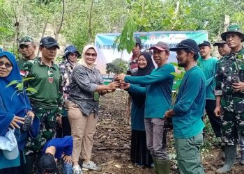 Perwakilan Satker BPDAS Jeneberang Saddang Sulsel, Andi Sriyani menyerahkan bibit pohon kepada KPH Bila Sidrap-Parepare di Watang Bacukiki, Kota Parepare, Kamis (12/12/2024). Foto: --Faizal Lupphy/Pijarnews.com--