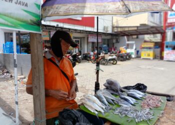 Nurdin,  penjual ikan sementara menunggu pembelinya