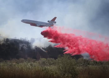 Apa Itu Zat Penghambat Api Merah Muda yang Digunakan untuk Memadamkan Kebakaran Hutan di Los Angeles?