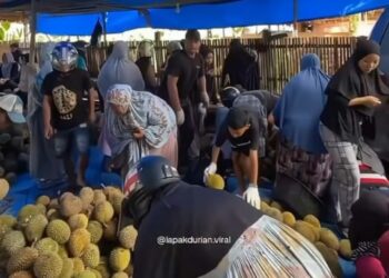 Pengunjung berburu durian di Rumah Makan Dapo Indo  di Karangan, Kecamatan Padaidi, Kabupaten Pinrang, Sabtu (11/1/2025). Foto; Tangkapan layar Instagram @dapoindo