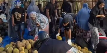 Pengunjung berburu durian di Rumah Makan Dapo Indo  di Karangan, Kecamatan Padaidi, Kabupaten Pinrang, Sabtu (11/1/2025). Foto; Tangkapan layar Instagram @dapoindo