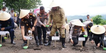 Pj Wali Kota Parepare bersama Forkopimda melakukan penanaman jagung satu juta hektare secara serentak se-Indonesia, Selasa (21/1/2025) (Foto: Ikbal/Pijarnews.com)