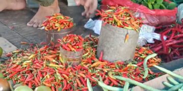 Cabai rawit di Pasar Lakessi (Foto: ist)