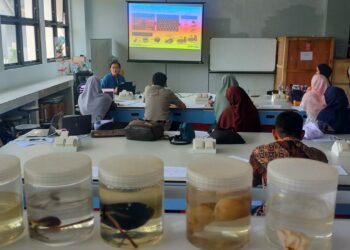 Tim YSDS sedang memberi pelatihan kepada dosen peneliti Unsulbar di laboratorium, Kampus Padha - Padhang, Kelurahan Tande Timur, Majene, Selasa, (4/2/2025)