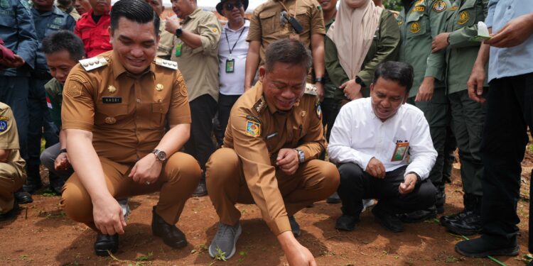 Pejabat Gubernur Sulsel, Prof. Fadjry Djufry dan Pj Bupati Takalar, Muhammad Hasbi melakukan penanaman serentak Agroforestry Pangan untuk padi pada lahan kering dan Multi-Purpose Tree Species (MPTS). Penanaman ini termasuk di lokasi sekitar Bendungan Pamukkulu, Kabupaten Takalar, Selasa (4/2/2025)