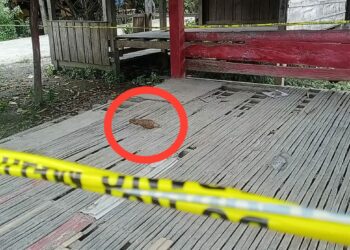 Mortir Peninggalan Zaman Jepang Ditemukan Warga Pinrang, Kapolsek Duampanua: Sudah Dua Kali Kejadian