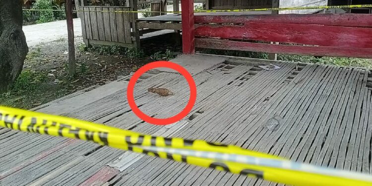 Mortir Peninggalan Zaman Jepang Ditemukan Warga Pinrang, Kapolsek Duampanua: Sudah Dua Kali Kejadian