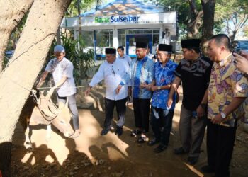 Iduladha 1446 H, Pemprov Sulsel Salurkan 26 Ekor Sapi Kurban Bagi Warga Kurang Mampu