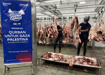 Bosowa Peduli Salurkan Hewan Kurban untuk Warga Gaza Palestina di Tengah Situasi Krisis