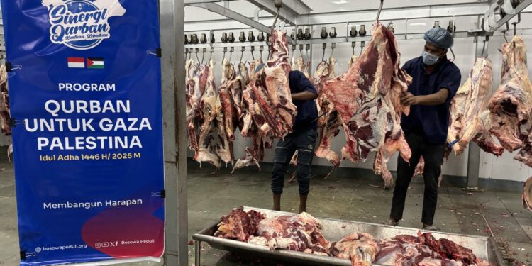 Bosowa Peduli Salurkan Hewan Kurban untuk Warga Gaza Palestina di Tengah Situasi Krisis