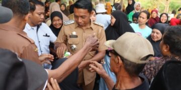 Pesta Panen di Bila Riawa, Bupati Sidrap Ajak Masyarakat Lakukan Ini
