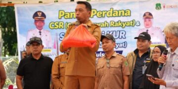 Tingkatkan Ekonomi Rakyat, Bupati Sidrap Dorong Pengintegrasian Pertanian dan Peternakan