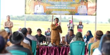 Bupati Sidrap Turun Sawah di Desa Lise, Produktivitas Padi Capai 9,1 Ton per Hektare