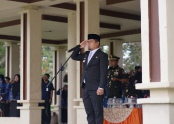 Pimpin Upacara Harkitnas ke-118, Wali Kota Parepare Tekankan Kedaulatan Digital