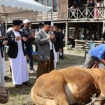 Wali Kota Parepare Serahkan Bantuan Sapi 883 Kg di Wattang Bacukiki