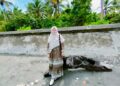 Indonesia Jadi Sarang Mafia Judi Online: Bukti Lemahnya Pengawasan Negara