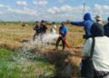 Sawah Kekeringan, Bupati Sidrap Kerahkan Damkar