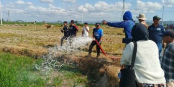 Sawah Kekeringan, Bupati Sidrap Kerahkan Damkar