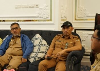 Investor Internasional Bidik Pengembangan Energi Terbarukan di Sidrap