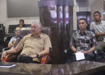 Bupati Pinrang Sampaikan Aspirasi Daerah di RDPU Komisi II DPR RI