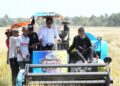 Panen Raya di Desa Botto, Bupati Sidrap Dorong IP300 dan Modernisasi Pertanian