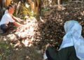 Limbah Jadi Berkah, Tim Pengabdian Unibos Sulap Buah Nipah Menjadi Arang Alternatif Ramah Lingkungan