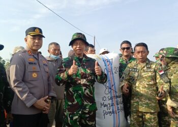Diwarnai Aksi Terjun Payung, Pangdivif 3 Kostrad dan Bupati Sidrap Panen Raya