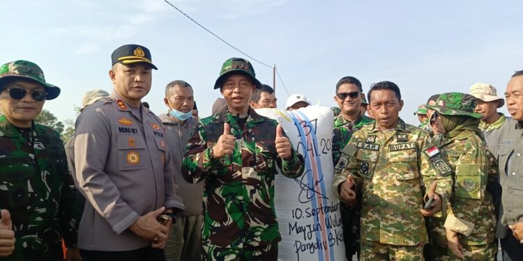 Diwarnai Aksi Terjun Payung, Pangdivif 3 Kostrad dan Bupati Sidrap Panen Raya