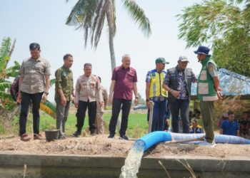 Jaga Produksi Pertanian, Bupati Pinrang Tinjau Panen hingga Pompanisasi