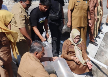 Wakil Bupati Sidrap Tebar Puluhan Ribu Benih Ikan Nila Monoseks Hasil BBI Sidrap di Kolam Kantor Bupati