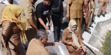 Wakil Bupati Sidrap Tebar Puluhan Ribu Benih Ikan Nila Monoseks Hasil BBI Sidrap di Kolam Kantor Bupati