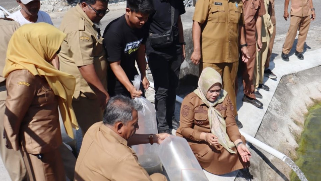 Wakil Bupati Sidrap Tebar Puluhan Ribu Benih Ikan Nila Monoseks Hasil BBI Sidrap di Kolam Kantor Bupati