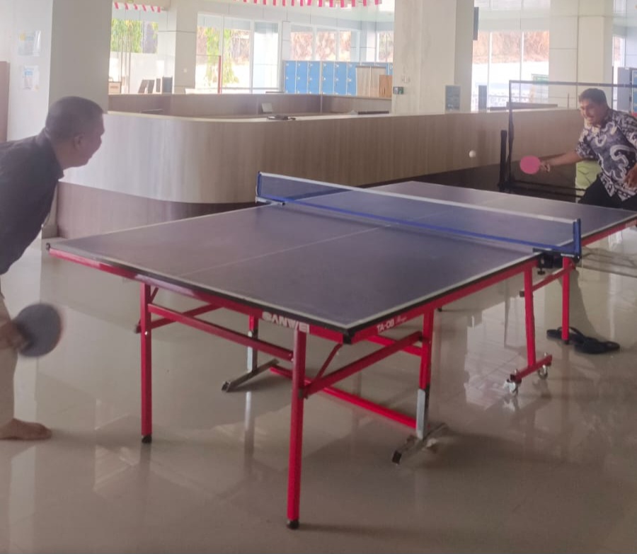 Tenis Meja