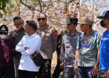GTRA Sidrap Tinjau Eks HGU 155 Hektare, Dorong Pemanfaatan untuk Warga