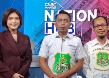 Bupati Sidrap Paparkan Potensi Investasi Hijau di CNBC Indonesia