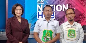 Bupati Sidrap Paparkan Potensi Investasi Hijau di CNBC Indonesia